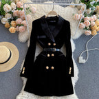 Double Breasted Velvet Dress