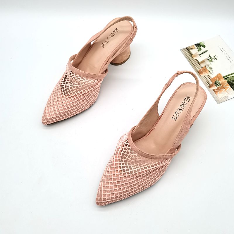 High Heels With A Pointed Toe And A Shallow Mesh