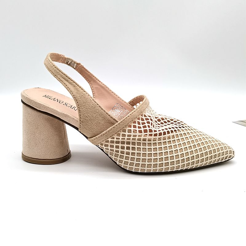 High Heels With A Pointed Toe And A Shallow Mesh