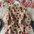 Vintage Embroidered Floral Mesh Dress