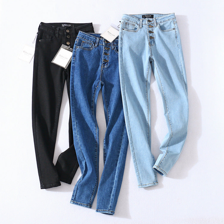 Four Button Pencil Pants