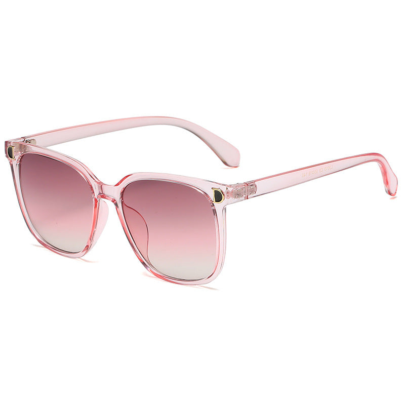 Clear Border Sunglasses