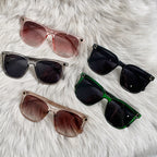 Clear Border Sunglasses