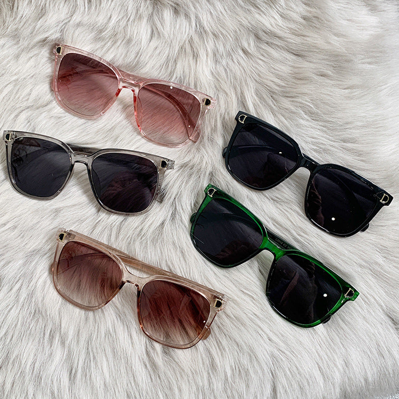Clear Border Sunglasses