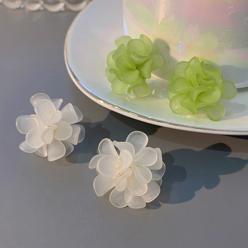 New-arrived Popular Frosted Earrings
