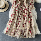 Vintage Embroidered Floral Mesh Dress