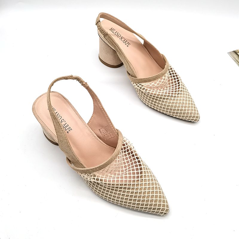 High Heels With A Pointed Toe And A Shallow Mesh