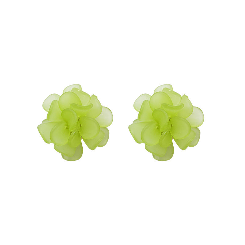 New-arrived Popular Frosted Earrings