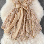 V-neck Backless Sequin Slip Dress