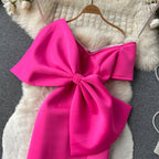 Elegant V-neck Bow-decorated Dress