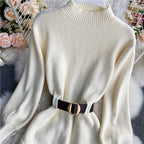 Turtleneck Long Sleeve Knitted Sweater Dress