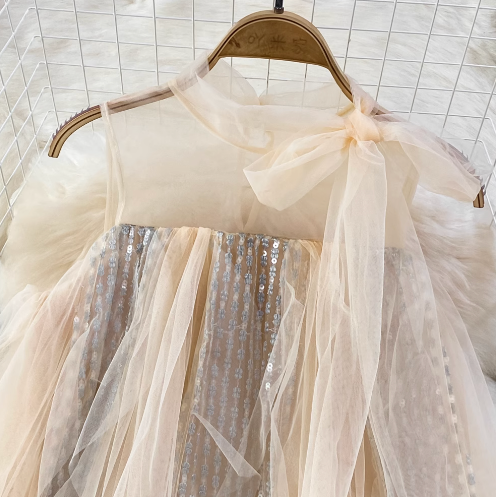 Fairy Sequined A-line Mesh Dress