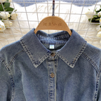 Chic Denim Shirt Dress with Belt