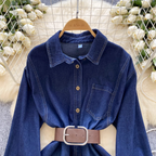 Vintage Blue Denim Shirt Dress