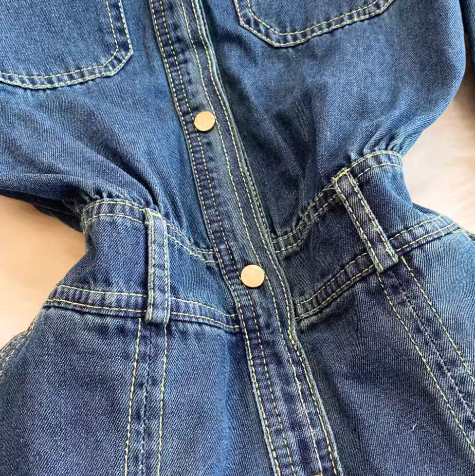 Pointed Collar Denim Pleated Dress