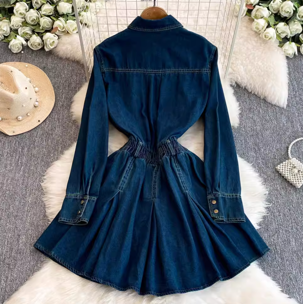 Pointed Collar Denim Pleated Dress