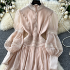 Courtly Puffy Sleeve Lace Dress