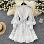 Elegant Hollowed Embroidery A-line Dress