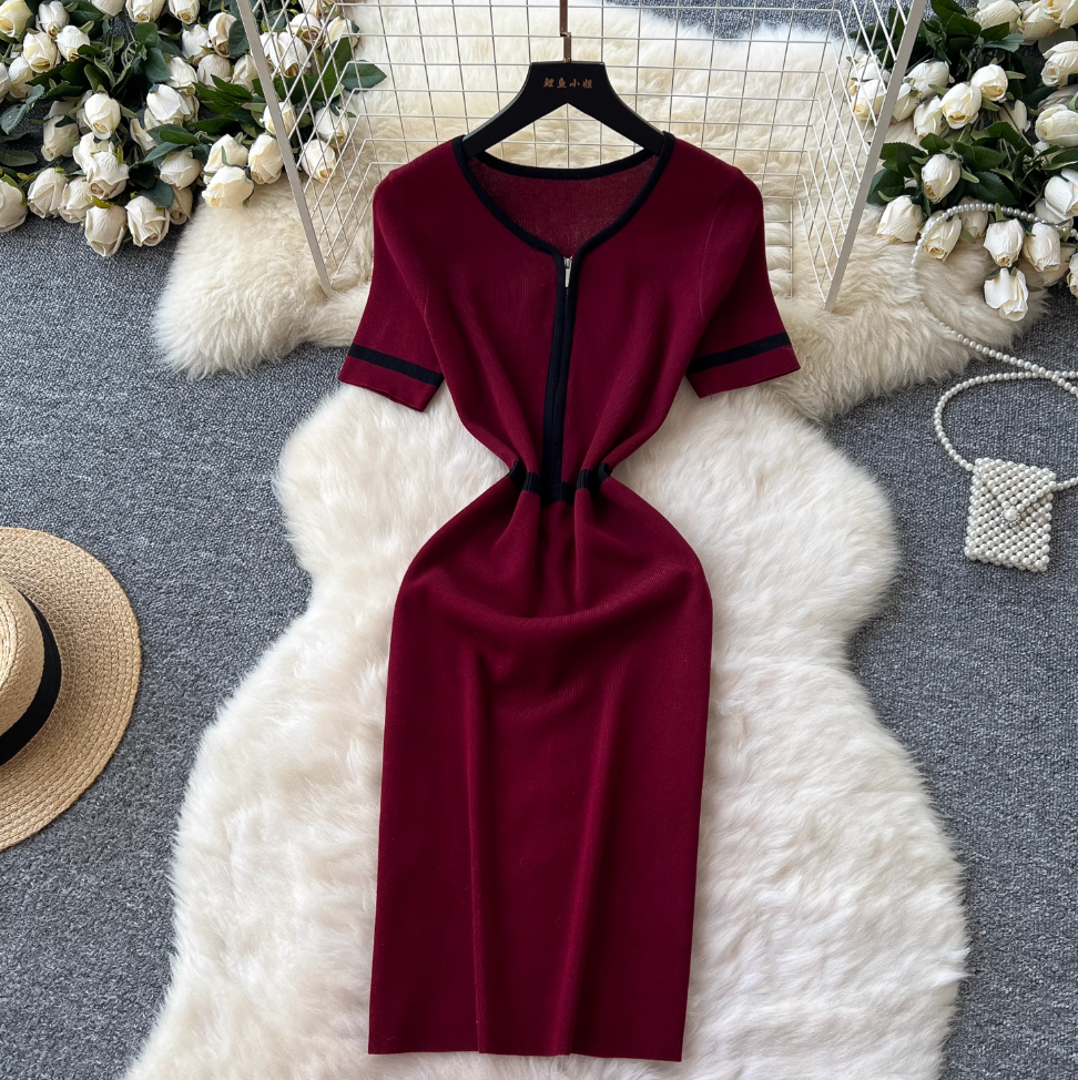 Vintage Color Blocking Zipped Knit Dress