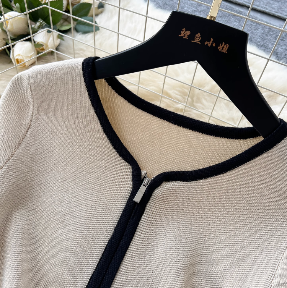 Vintage Color Blocking Zipped Knit Dress