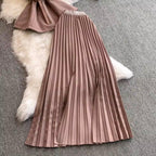 Buckled Top & Pleated Skirt 2Pcs