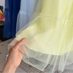 Elegant Fairy Mesh Slip Dress