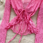 V-neck Embroidery Crochet Mesh Top