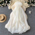 Apricot Pleated Bud Mesh Bustier Dress