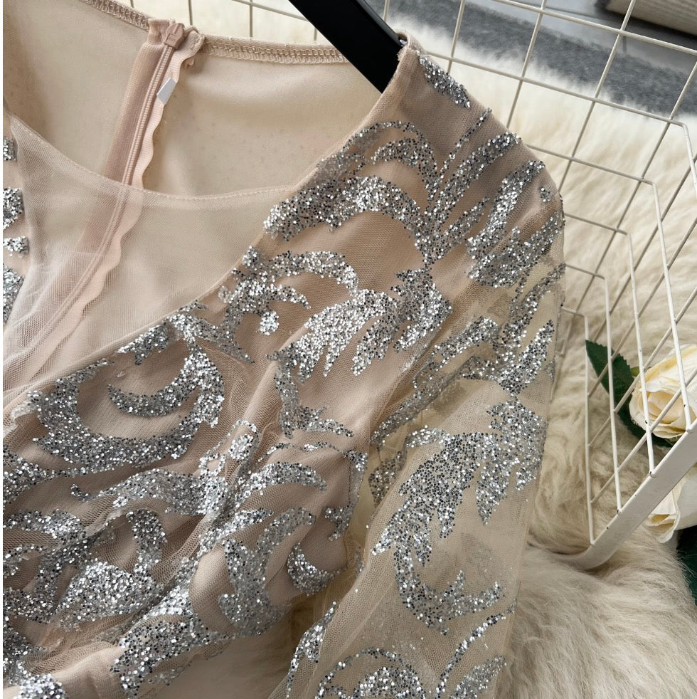 Premium Sequined Ruffled Mesh Dress