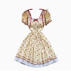 Sweetie Strawberry Printed Lace Dress