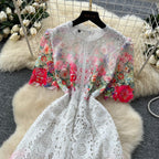 Vintage Crochet Lace Floral Dress