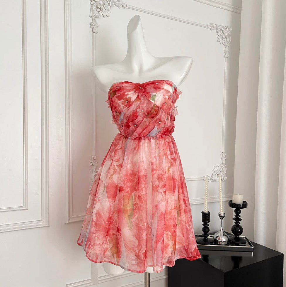 Fairy Sequined Puffy Bustier Dress