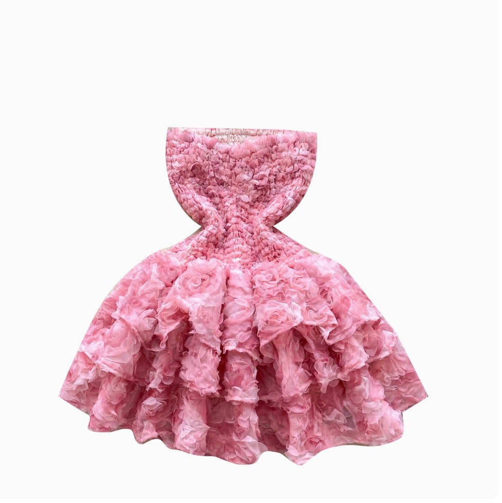Sweetie 3D Puffy Bustier Dress