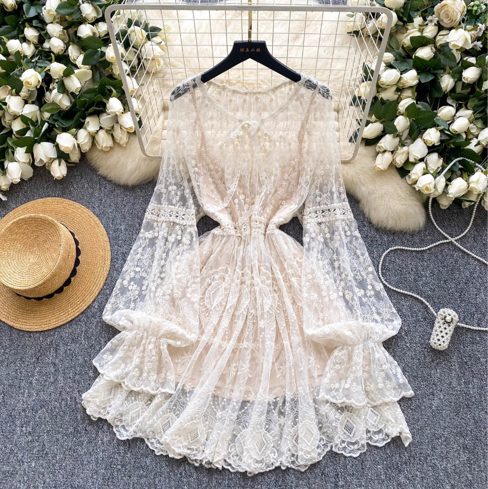 Fairy Embroidered Apricot Mesh Dress