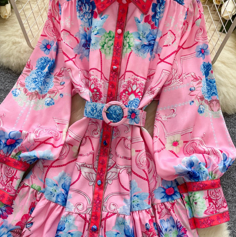 Courtly Polo Collar Printed Shirt Dress