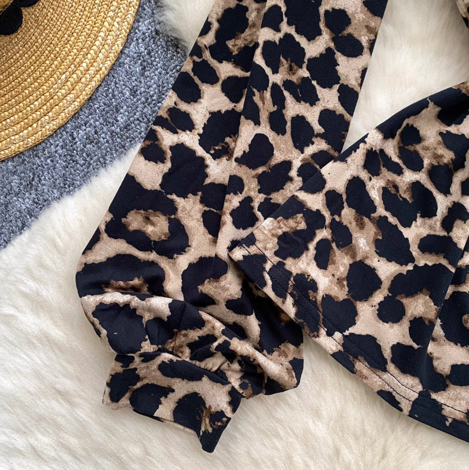 Leopard Print Waist-slimming Top
