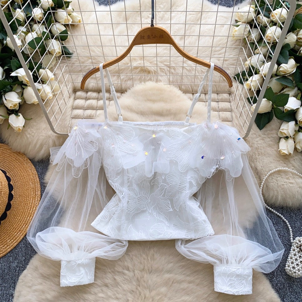 Fairy Sequined Embroidery Slip Top