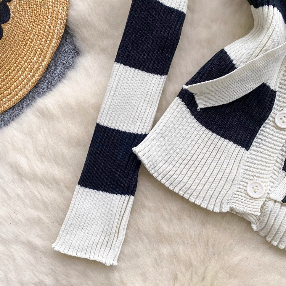 Navy Collar Striped Knitwear