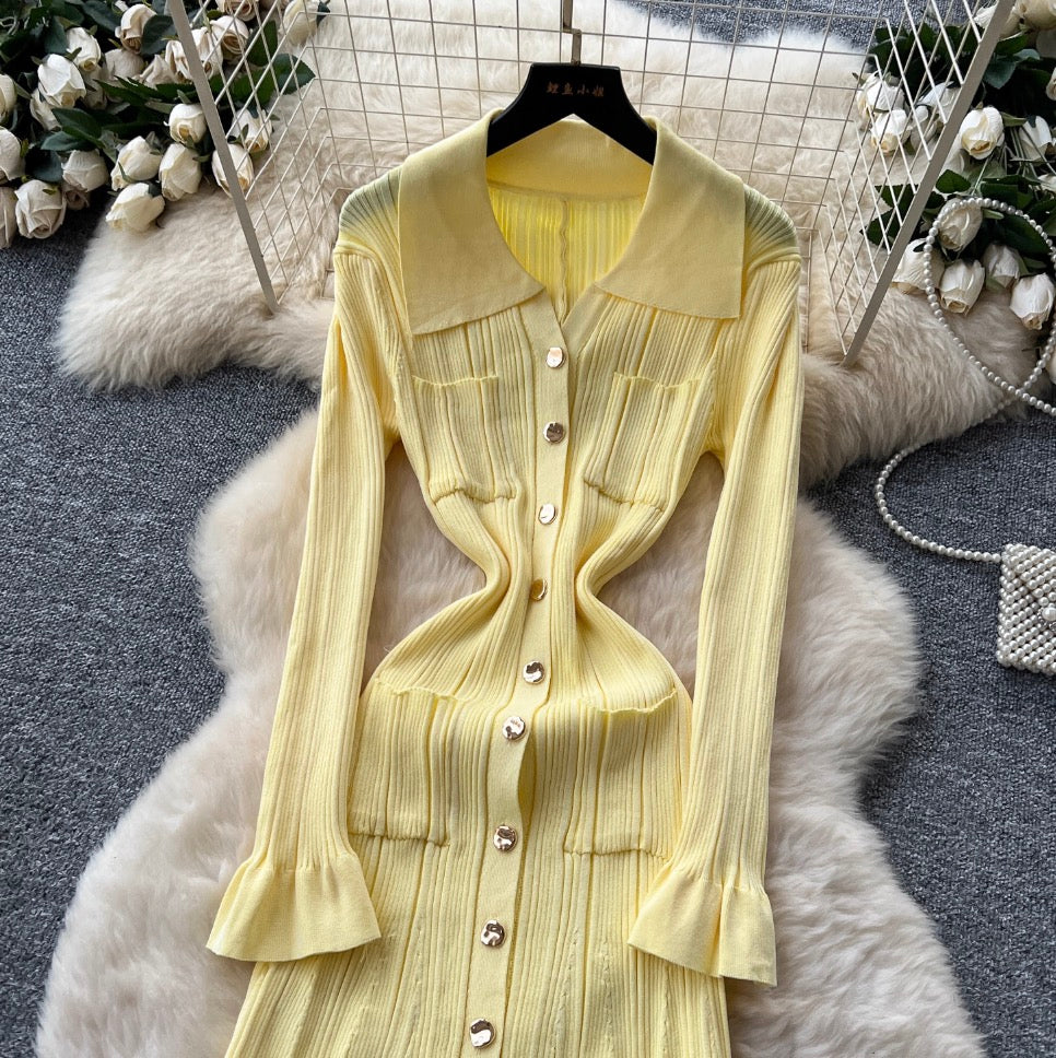 Simple Design Lapeled Knit Dress