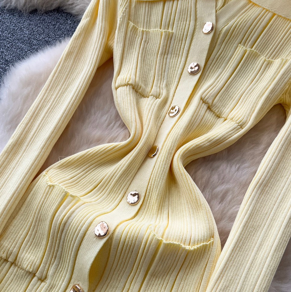 Simple Design Lapeled Knit Dress