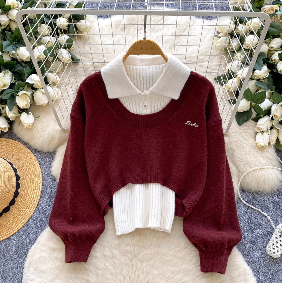 Knitted Vest & Outwear Sweatshirt 2Pcs