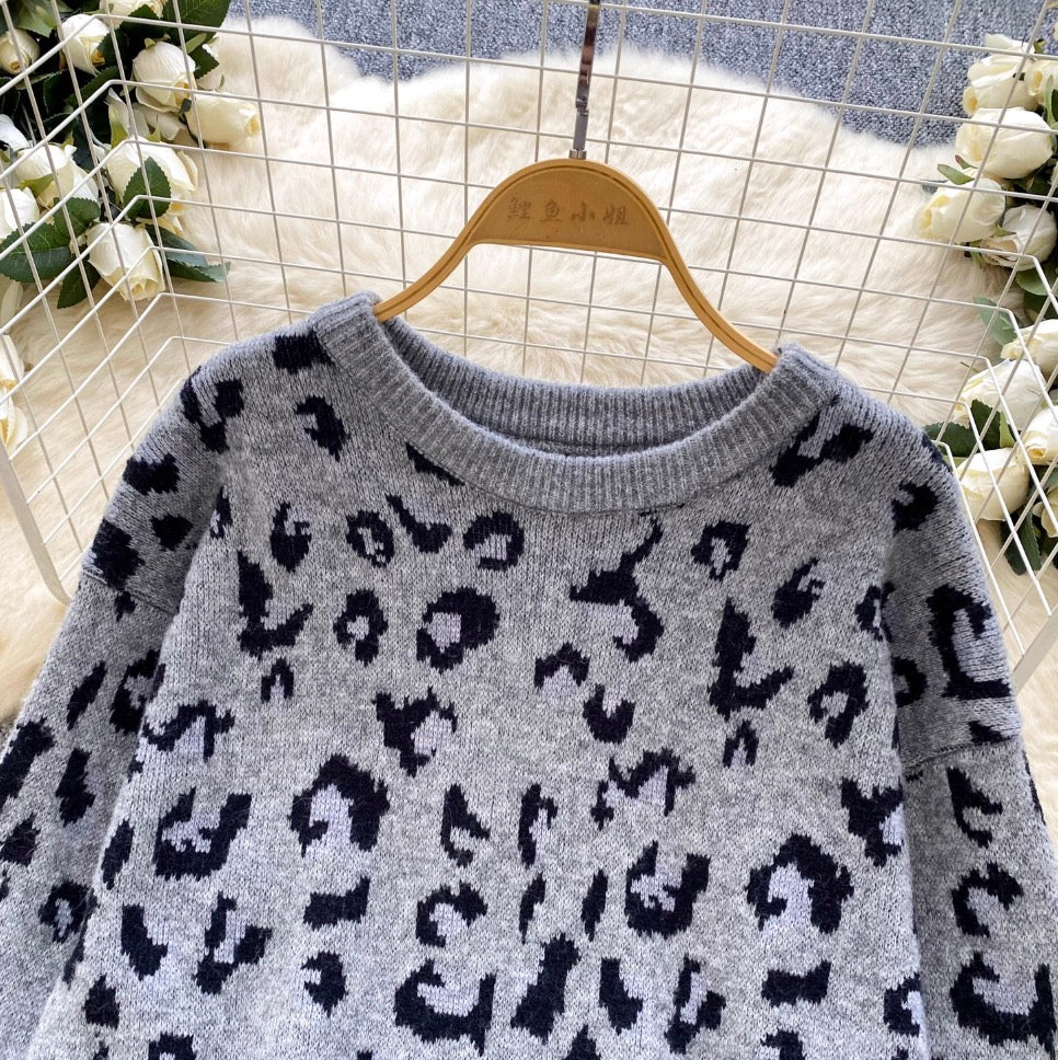 Leopard Print Sweater & Shorts 2Pcs