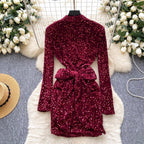 Glossy Sequined Suede Dress