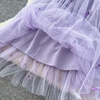 Butterfly Embroidered Purple Slip Dress