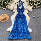 Floral Print Lace-up Halter Dress