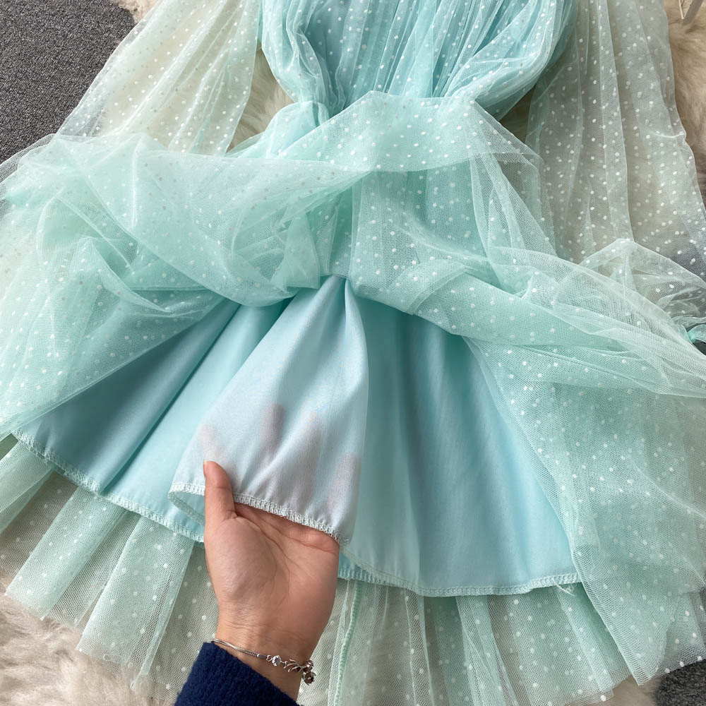 Mesh Polka Dot A-Line Waist Puff Skirt