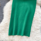 Solid Color Stretchy Knitted Skirt