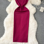 Vintage Stretchy Bodycon Knitted Dress