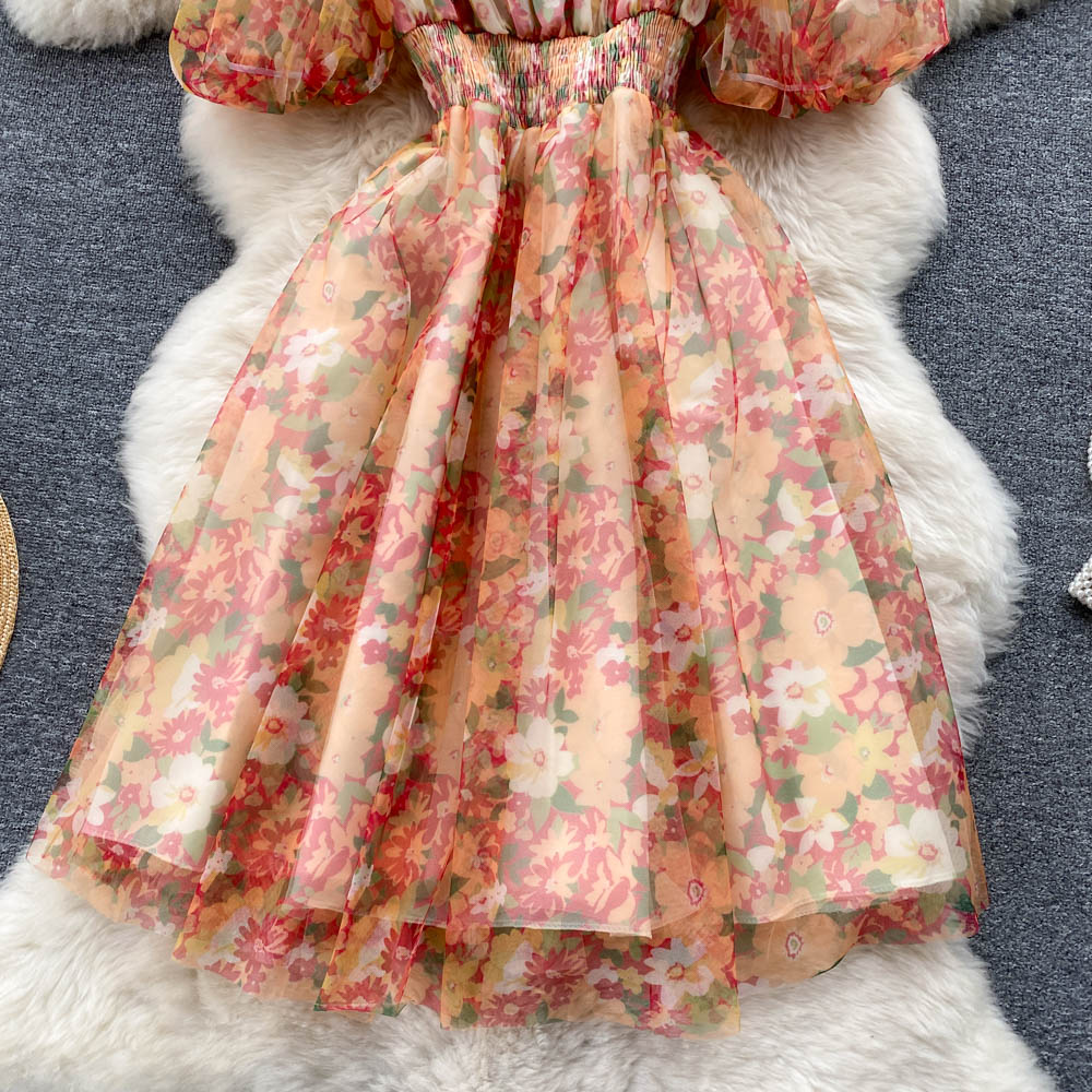 Mesh Chiffon Floral Dress