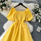 Bohemia Flared Sleeve Stretchy Embroidered Dress